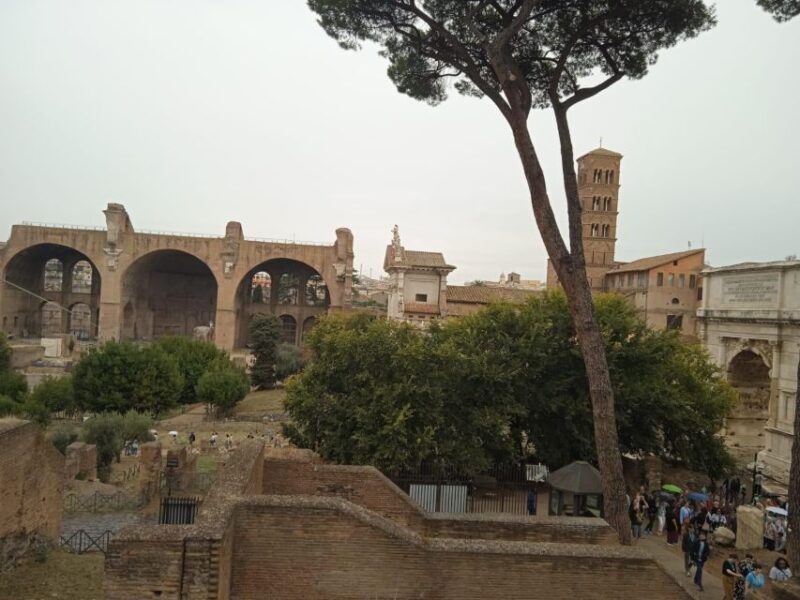 ancient-rome-and-domus-tiberiana-exclusive-guided-tour