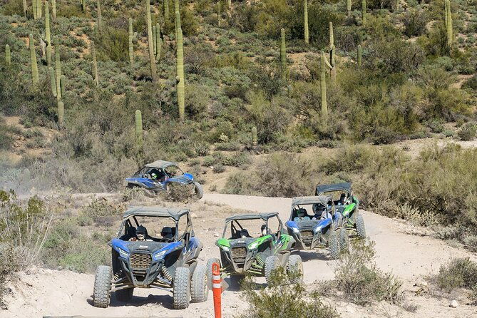 ancient-ruins-tour-guided-arizona-desert-tour-by-utv