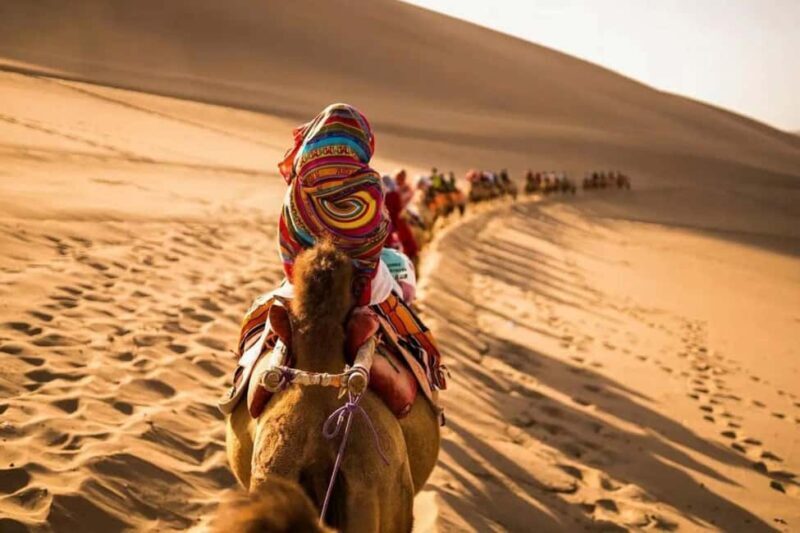 Ancient Silk Road in Gansu: Highlights Tour & Desert Feast - Key Points