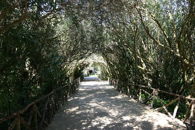 Ancient Syracuse: private guided tour of the Neapolis archaeological park - Is This Tour Right for You?