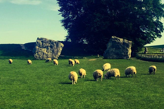 ancient-wonders-of-wessex-private-guided-tour