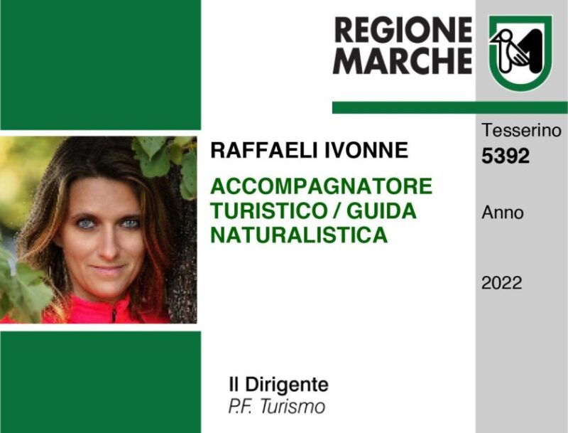 ancona-city-walking-tour-with-wine-and-food-tasting