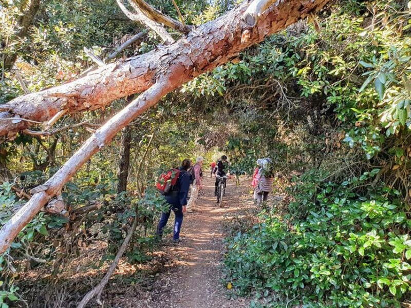 ancona-riviera-del-conero-hiking-tour