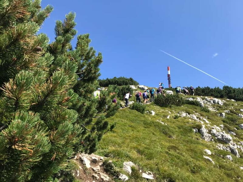 Andalo: Trekking Tour to Canfedin Peak - Key Points