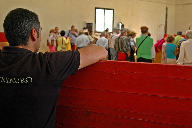 andalucia-bull-and-horse-farm-and-ronda-private-tour-from-malaga