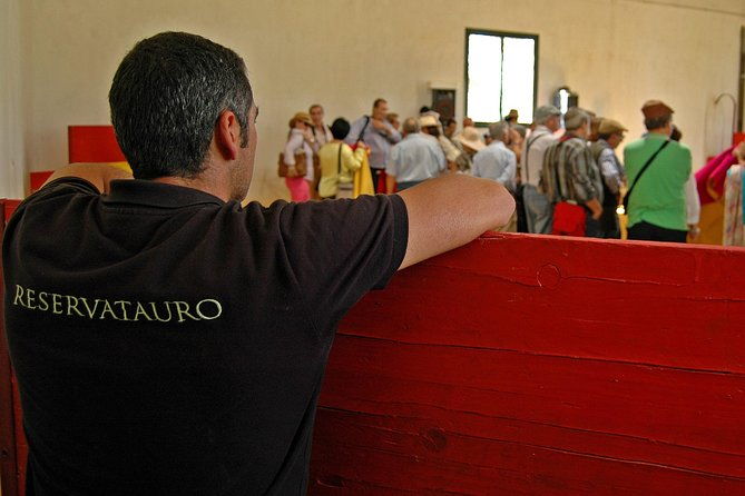 andalucia-bull-and-horse-farm-and-ronda-private-tour-from-malaga