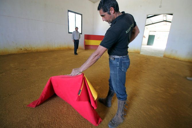 andalucia-bull-and-horse-farm-and-ronda-private-tour-from-malaga