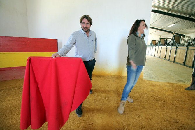 andalucia-bull-and-horse-farm-and-ronda-private-tour-from-malaga
