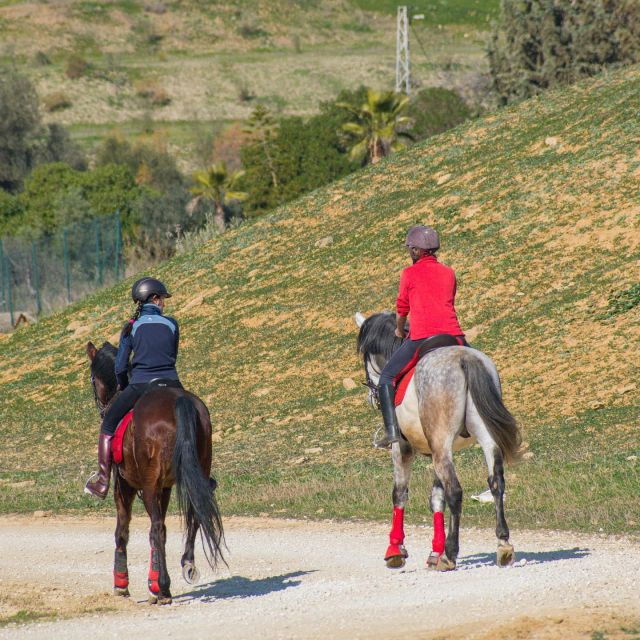 andalucia-horse-riding-tour-with-picnic