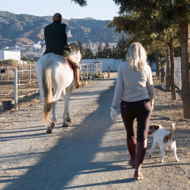 andalucia-horse-riding-tour-with-picnic