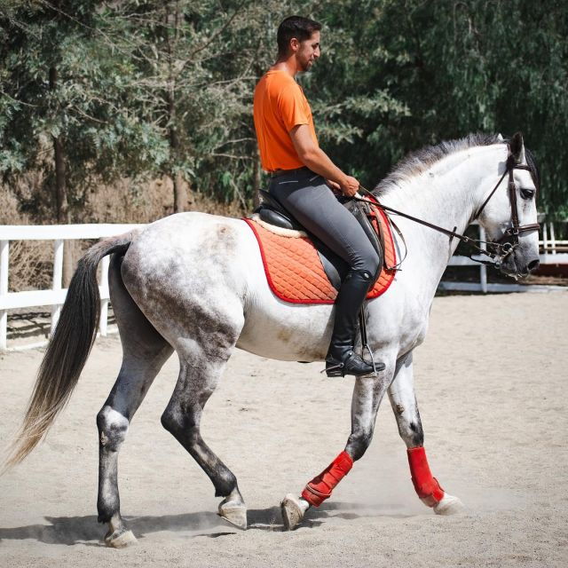andalucia-horse-riding-tour-with-picnic