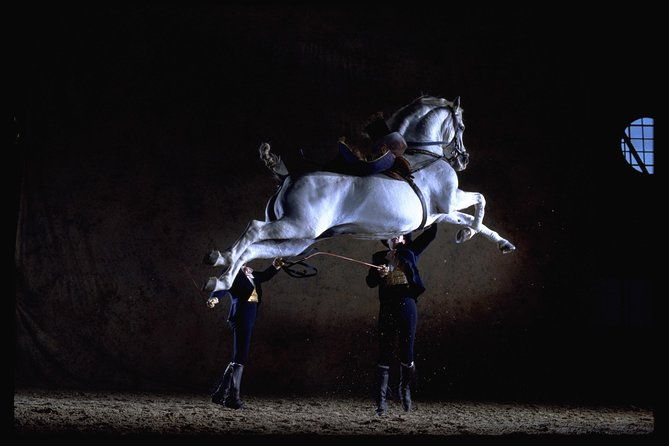 andalusian-horses-dance-show