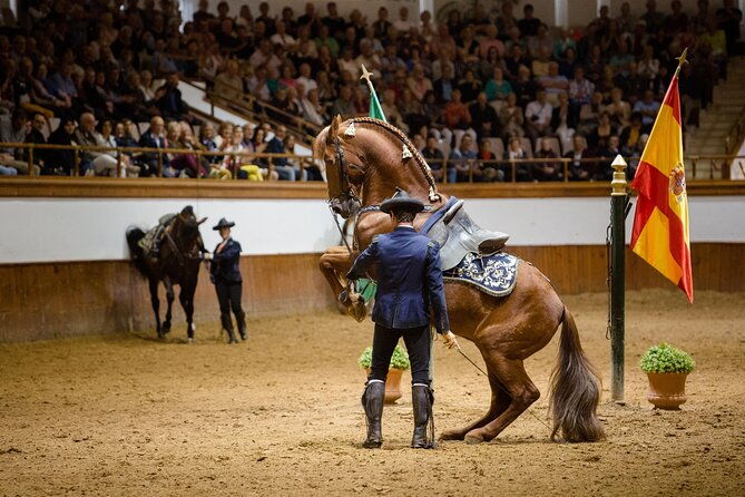 andalusian-horses-dance-show