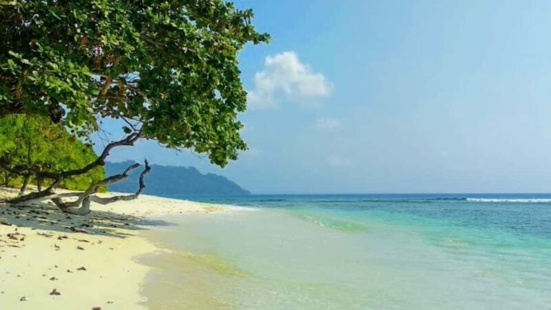Andaman Adventure with Scuba Diving - 3 Nights 4 Days - An In-Depth Look at the 4-Day Andaman Tour