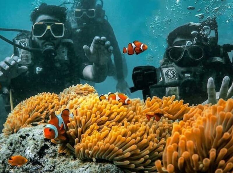 Andaman Adventure with Scuba Diving - 3 Nights 4 Days - The Sum Up