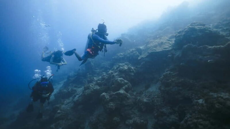 Andaman: Havelock Scuba Diving by PADI 5-Star Dive Center - An Introduction to Havelocks Underwater Charm