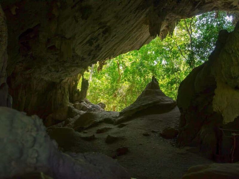 Andaman Island: Day Tour to Baratang Island - Transportation and Logistics: What You Need to Know