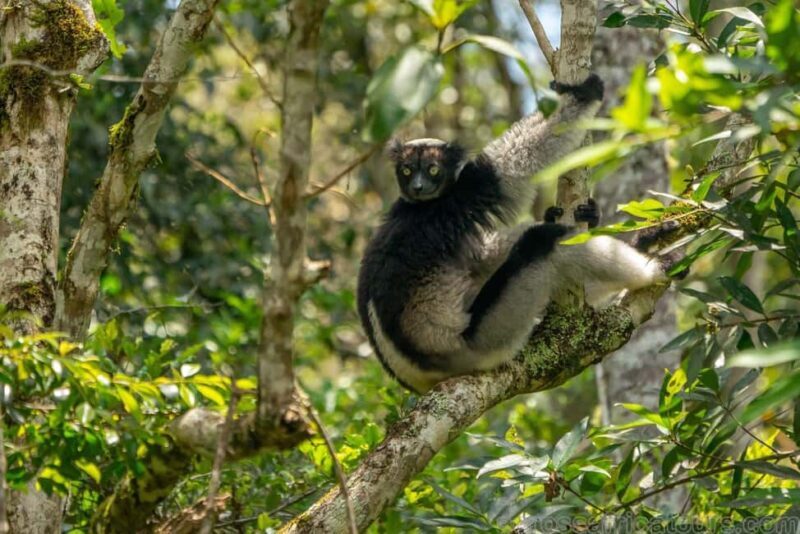 Andasibe Lemur Experience 4 Days/3 Nights (Comfort). - Exploring the Itinerary in Detail