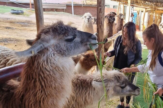 andean-adventure-discover-cusco-and-machu-picchu-in-5-days