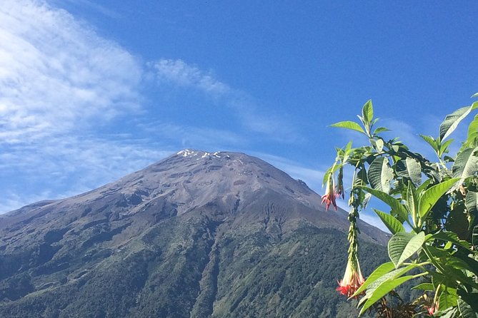 andes-amazon-the-triangle-route-5-days-4-nights-private-trip-from-quito