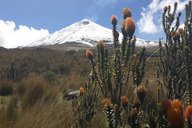 andes-amazon-the-triangle-route-5-days-4-nights-private-trip-from-quito