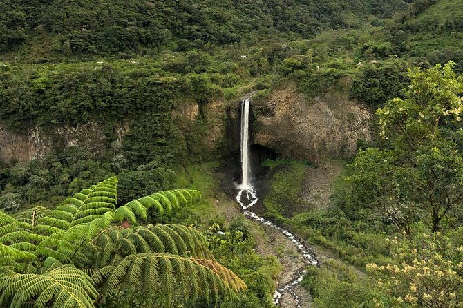 andes-amazon-the-triangle-route-5-days-4-nights-private-trip-from-quito