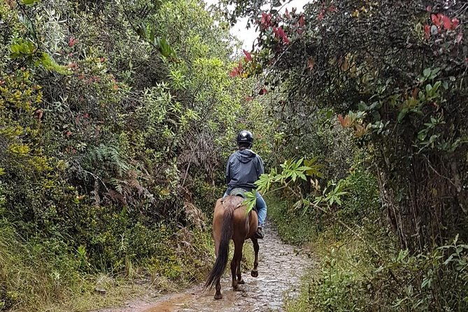 andes-mountains-horseback-riding