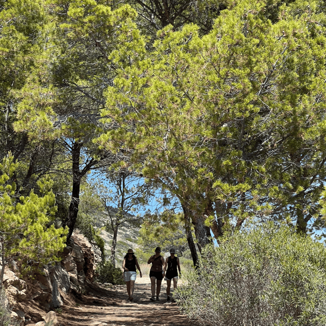 andratx-visit-dragonera-island-sant-elm