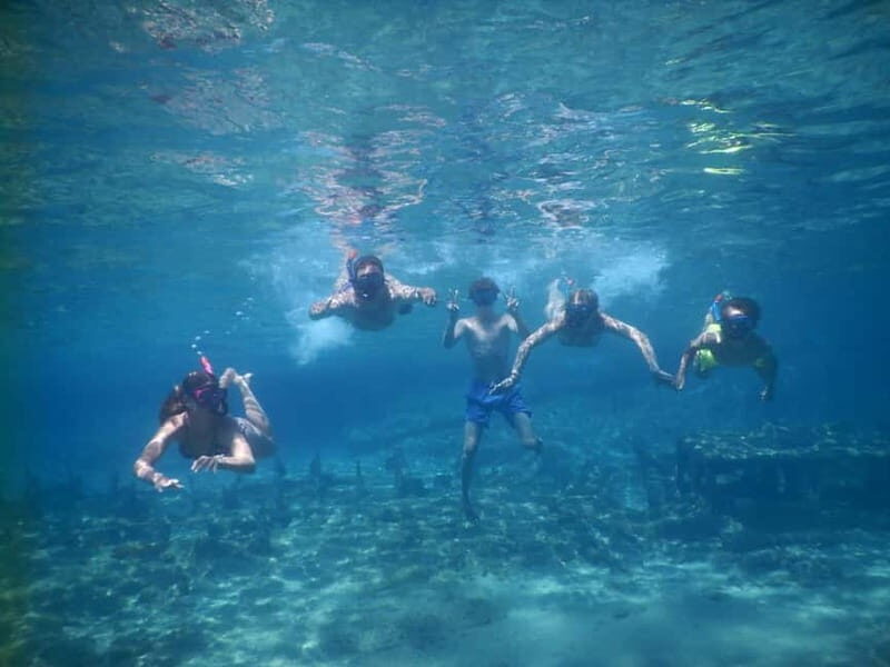 Andros: 4-hour RIB Cruise with Food and Drinks - Value for Money