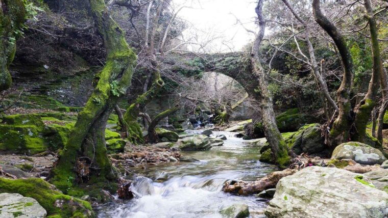 andros-achla-river-trekking-to-the-waterfall