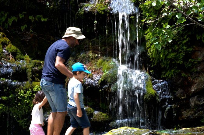 andros-town-pythara-waterfall-menites-springs-half-day-tour