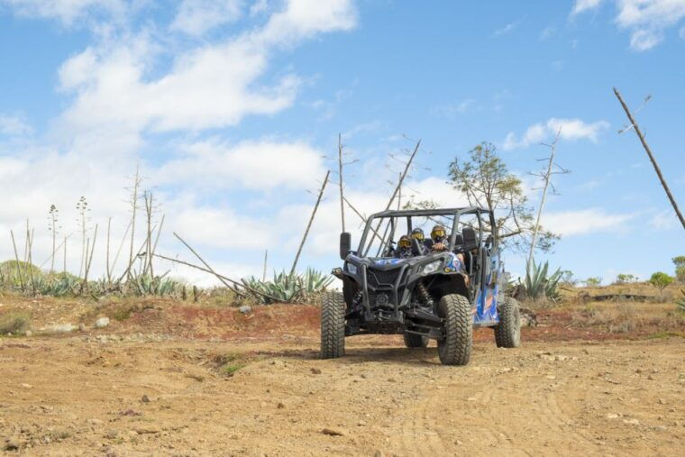 anfi-beach-guided-buggy-tour