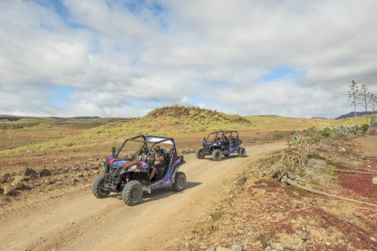 anfi-beach-guided-buggy-tour