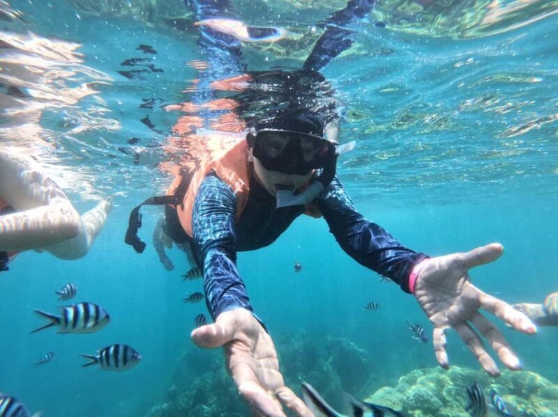 Ang Thong Full-Day Cruise with Sunset by The Red Baron Boat - Is This Tour Worth the Price?