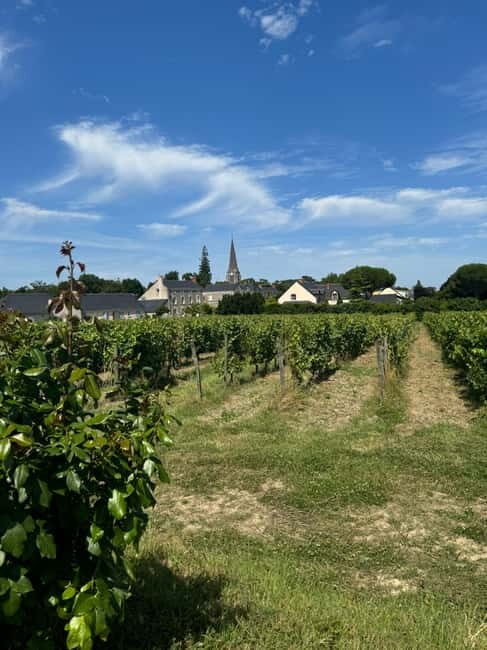 Angers: Ride on the banks of the Loire in electric Tuk Tuk - Is This Tour Worth It?