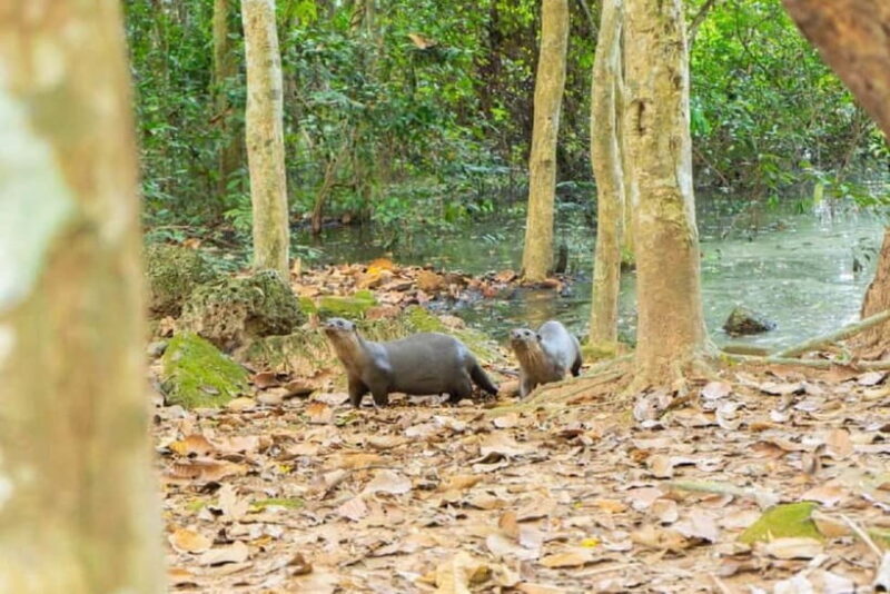 Angkor Bike tour & Gondola Sunset Boat - Authentic Experiences and Real Insights from Reviews