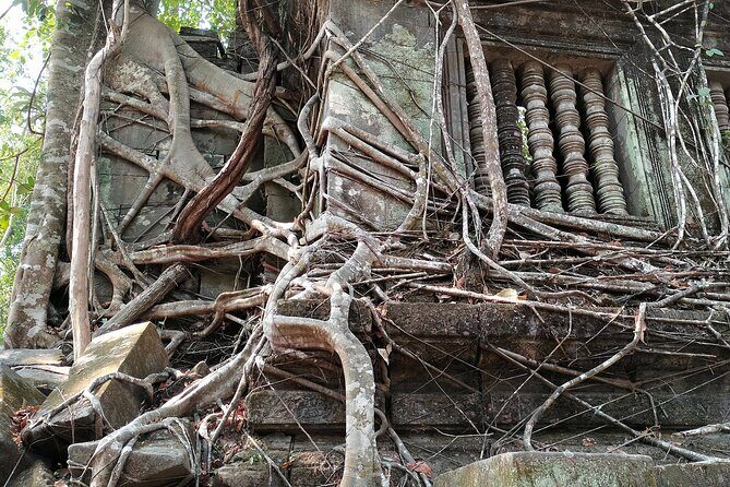 Angkor Day Tours: Phnom Kulen, Beng Mealea & Kampong Phluk Sunset - Transport and Logistics