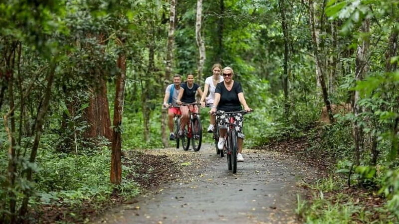 Angkor Jungle Biking Adventure Private Cycling Tour - Key Points
