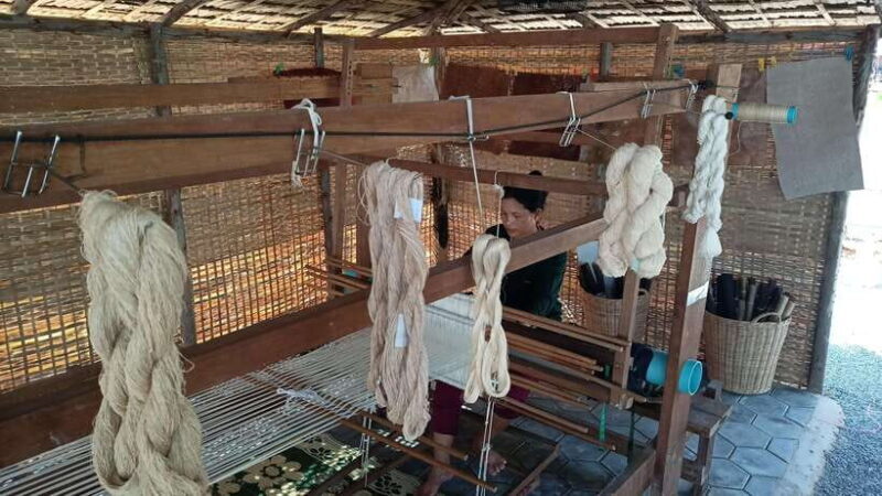 Angkor Silk Farm & Lotus Silk Farm: Siem Reap Discovery Tour - Key Points