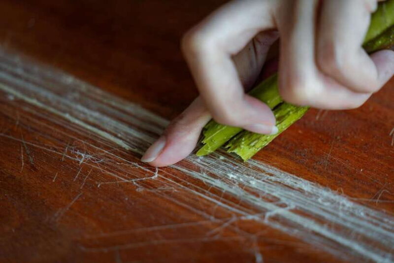 Angkor Silk Farm & Lotus Silk Farm: Siem Reap Discovery Tour - Final Thoughts