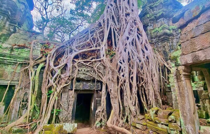Angkor: The Jungle Temple tour by Vintage Jeep - Key Points