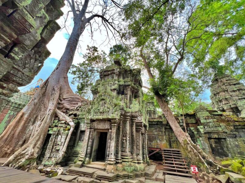 Angkor: The Jungle Temple tour by Vintage Jeep - An In-Depth Look at the Jungle Temple Tour