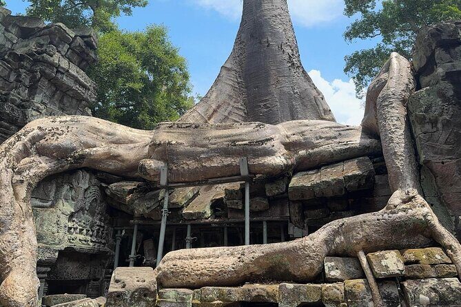 Angkor Wat 1-Day Exploration by Remok or Tuk Tuk - The Real Value of This Tour