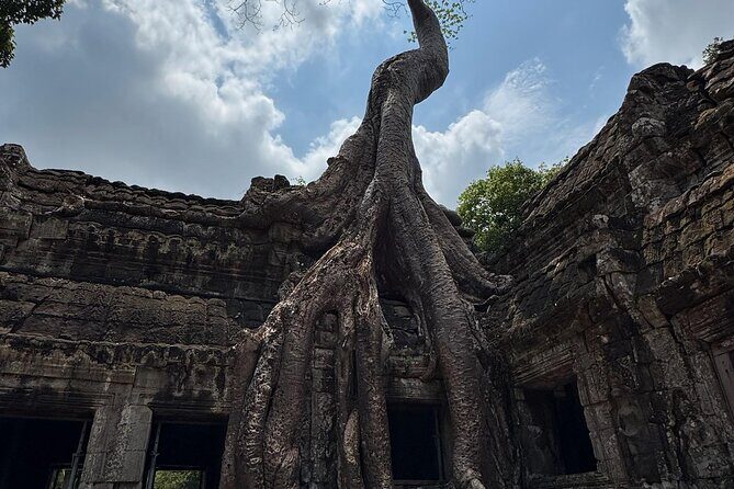 Angkor Wat 1-Day Exploration by Remok or Tuk Tuk - The Sum Up: Is This Tour Worth It?