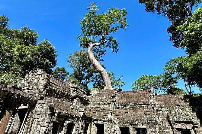 Angkor Wat 1-Day Tour by Private Car or Minivan - Who Will Love This Tour?