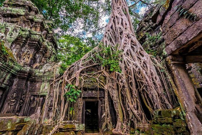 Angkor wat and Small group temples Full day tours - Who Is This Tour Best For?