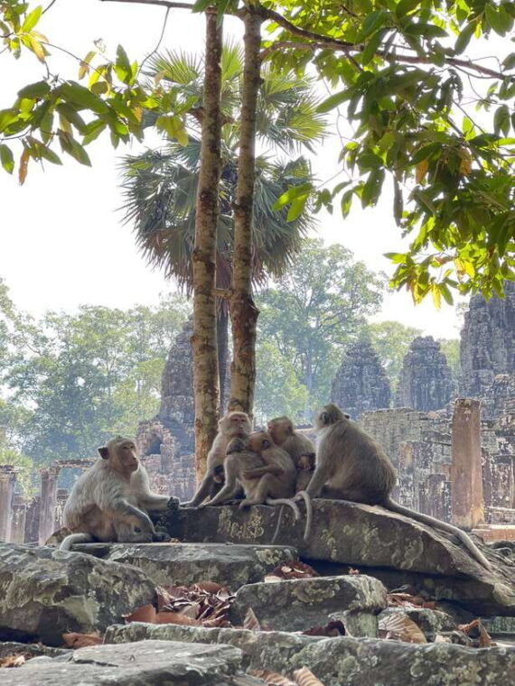 angkor-wat-full-day-tour-in-siem-reap-small-group