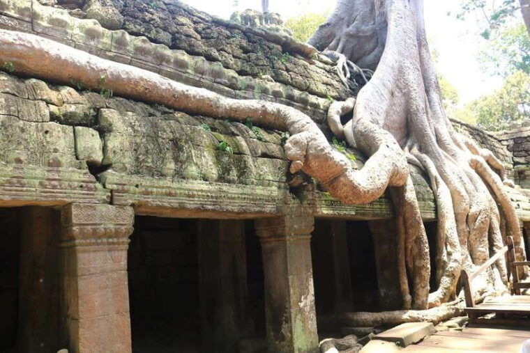 angkor-wat-highlights-and-sunrise-guided-tour