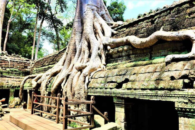 angkor-wat-private-sunrise-tour-with-champagne-breakfast