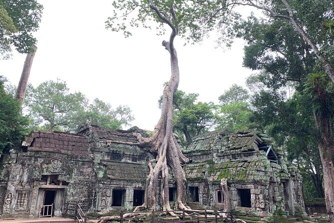 Angkor Wat Small Circuit & Sunset Tour - FAQs